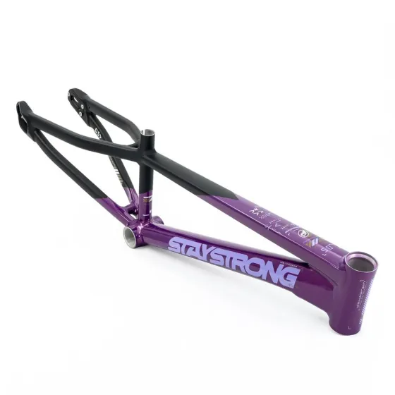 Stay Strong V5 Disc Only Frame 2025 Purple/Black